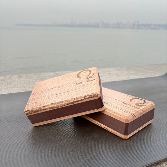 High Density Yoga Blocks